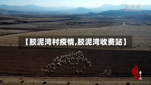 【胶泥湾村疫情,胶泥湾收费站】