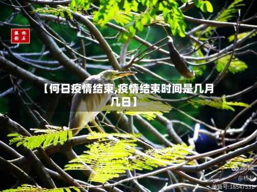 【何日疫情结束,疫情结束时间是几月几日】