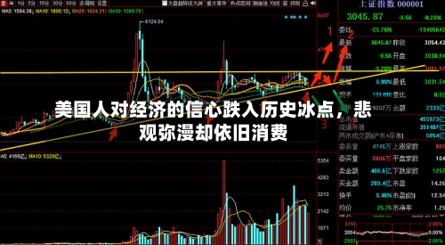 美国人对经济的信心跌入历史冰点，悲观弥漫却依旧消费
