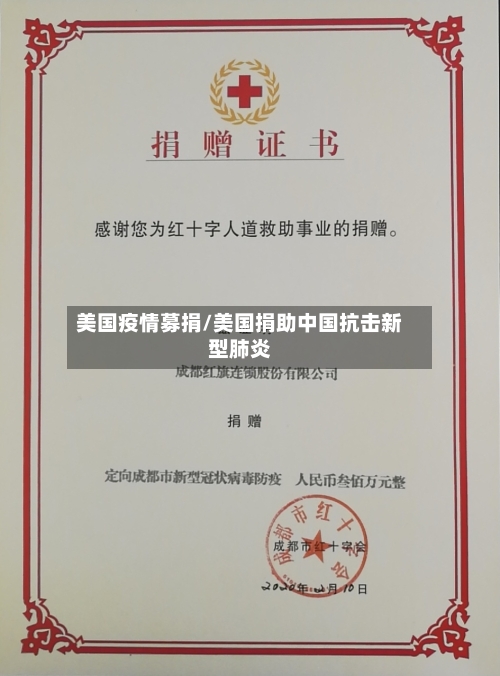 美国疫情募捐/美国捐助中国抗击新型肺炎