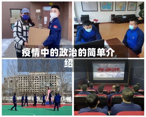 疫情中的政治的简单介绍