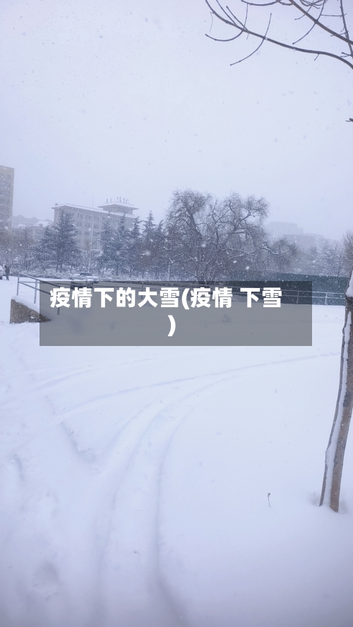 疫情下的大雪(疫情 下雪)