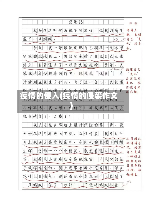 疫情的侵入(疫情的侵袭作文)
