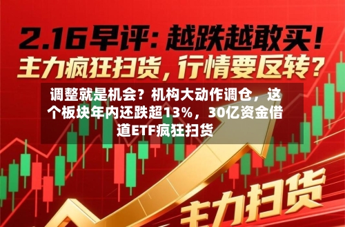 调整就是机会？机构大动作调仓，这个板块年内还跌超13%，30亿资金借道ETF疯狂扫货