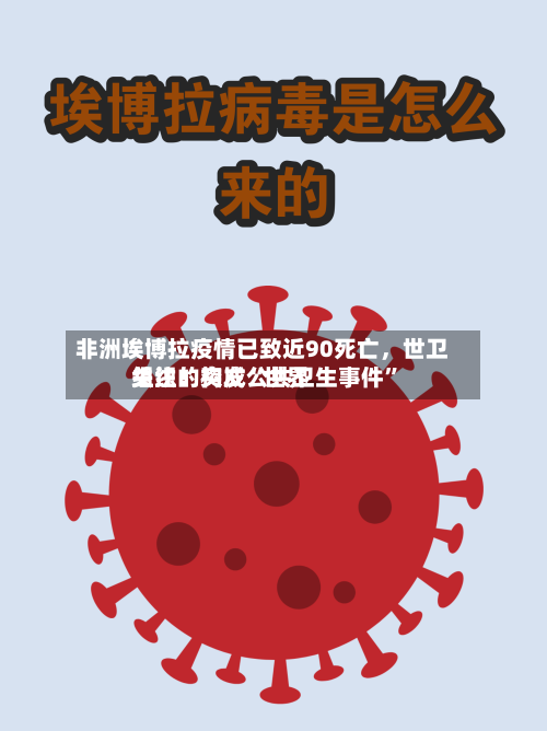 非洲埃博拉疫情已致近90死亡，世卫组织：构成“世界关注的突发公共卫生事件”
