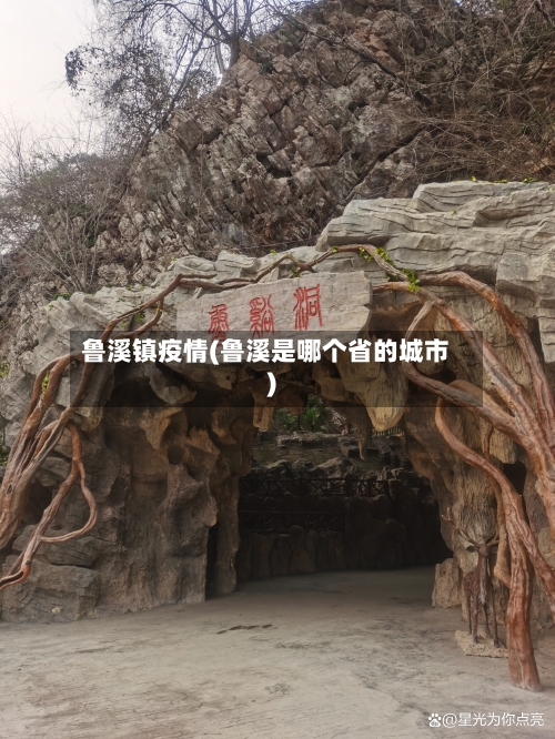 鲁溪镇疫情(鲁溪是哪个省的城市)
