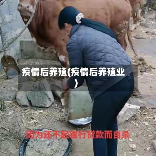 疫情后养殖(疫情后养殖业)