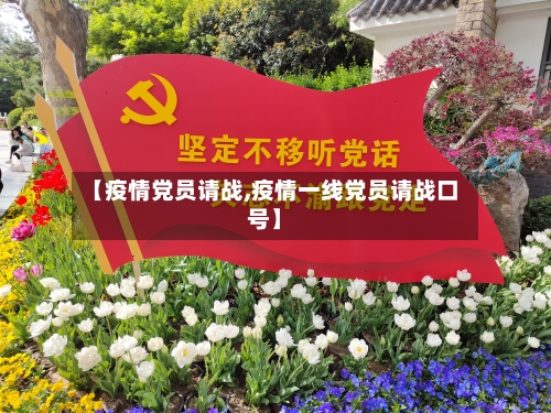 【疫情党员请战,疫情一线党员请战口号】